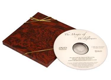 Special Gift Box w/Ribbon